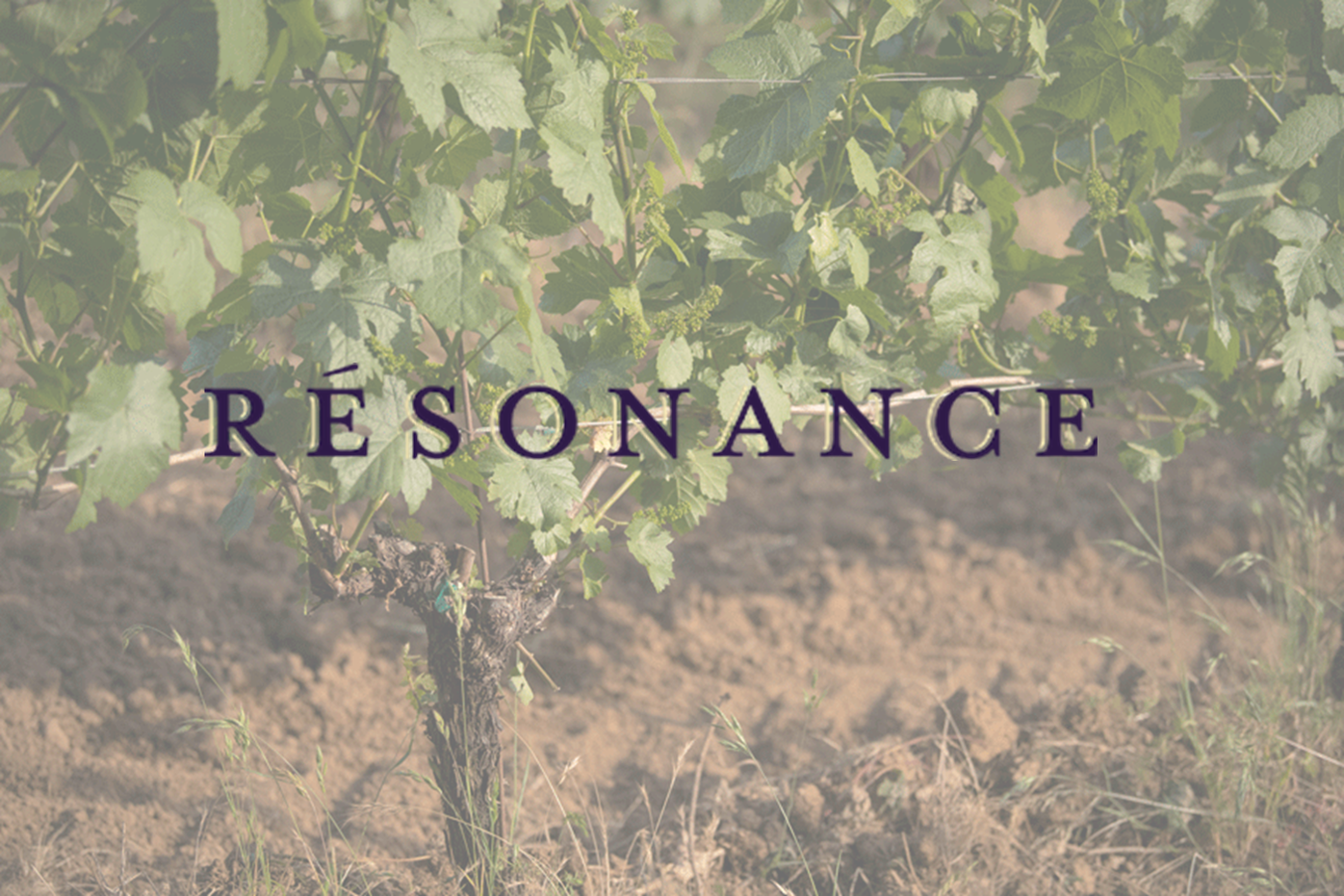 RÃ©sonance - Oregan wine with a Burgundian accent
